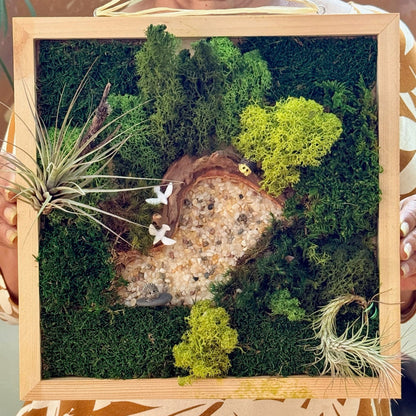 Moss wall art with plants and a wooden frame held by a person.