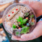 Small terrarium with plants held by a person wearing gloves