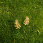 A pair of gold-toned fern-shaped stud earrings resting on a bed of green moss.