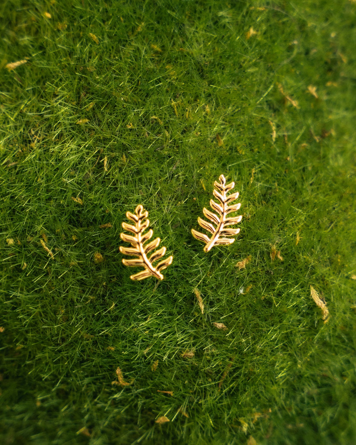 A pair of gold-toned fern-shaped stud earrings resting on a bed of green moss.