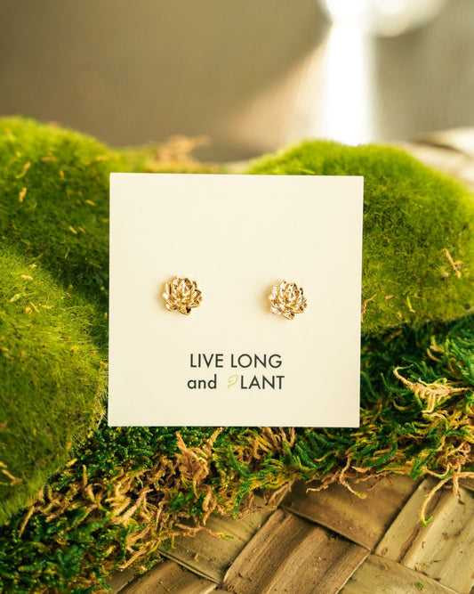 A pair of small gold floral stud earrings displayed on a white card that reads 'LIVE LONG and PLANT,' resting on green moss over a woven wooden surface.
