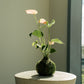 A small kokedama anthurium plant with pale pink flowers and green leaves, growing in a moss-covered pot, displayed on a round light wood pedestal in a softly lit interior setting.