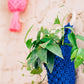 Macrame Hanger Basket