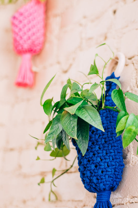 Macrame Hanger Basket