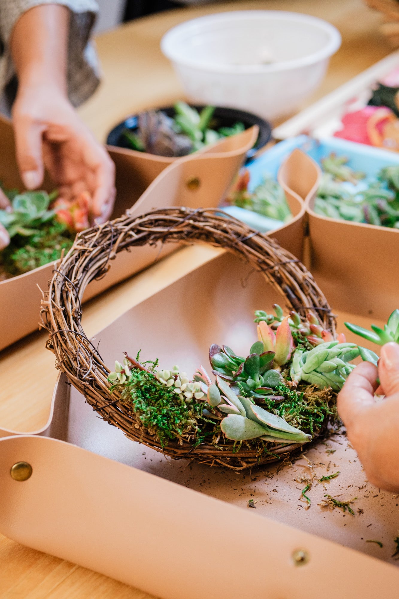 Succulent Wreath Workshop | Handcraft Living Wreaths in Hawai‘i