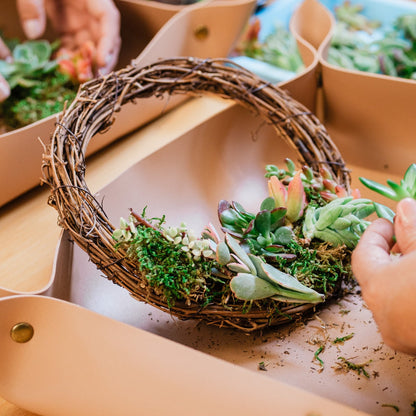 making a succulent wreath Succulent Wreath Workshop