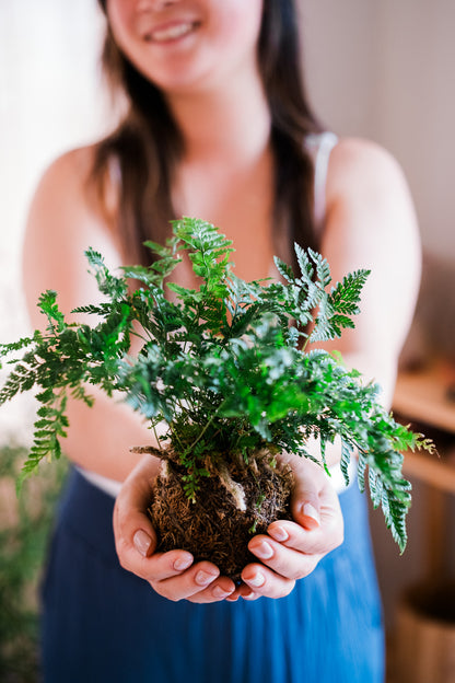 Discover the Art of Kokedama: Japanese 'Moss Ball' Workshop