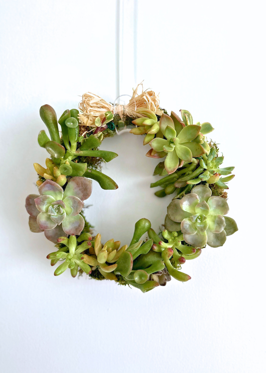 Succulent Wreath Workshop | Handcraft Living Wreaths in Hawai‘i