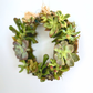 Succulent Wreath Workshop | Handcraft Living Wreaths in Hawai‘i