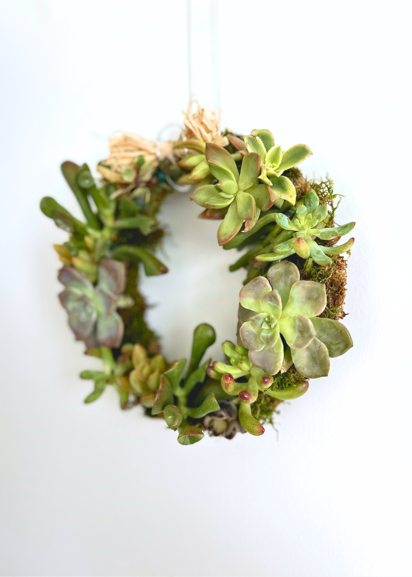 Succulent Wreath Workshop | Handcraft Living Wreaths in Hawai‘i