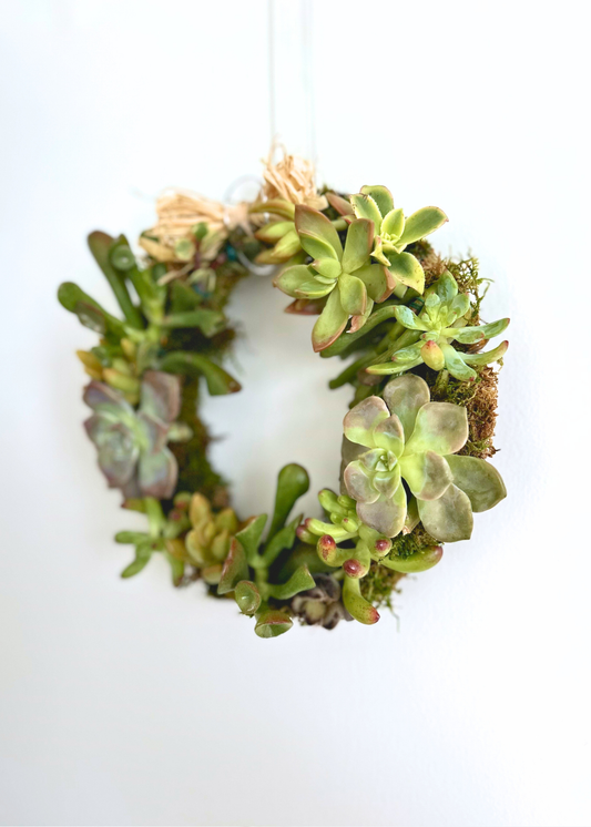 Succulent Wreath Workshop | Handcraft Living Wreaths in Hawai‘i