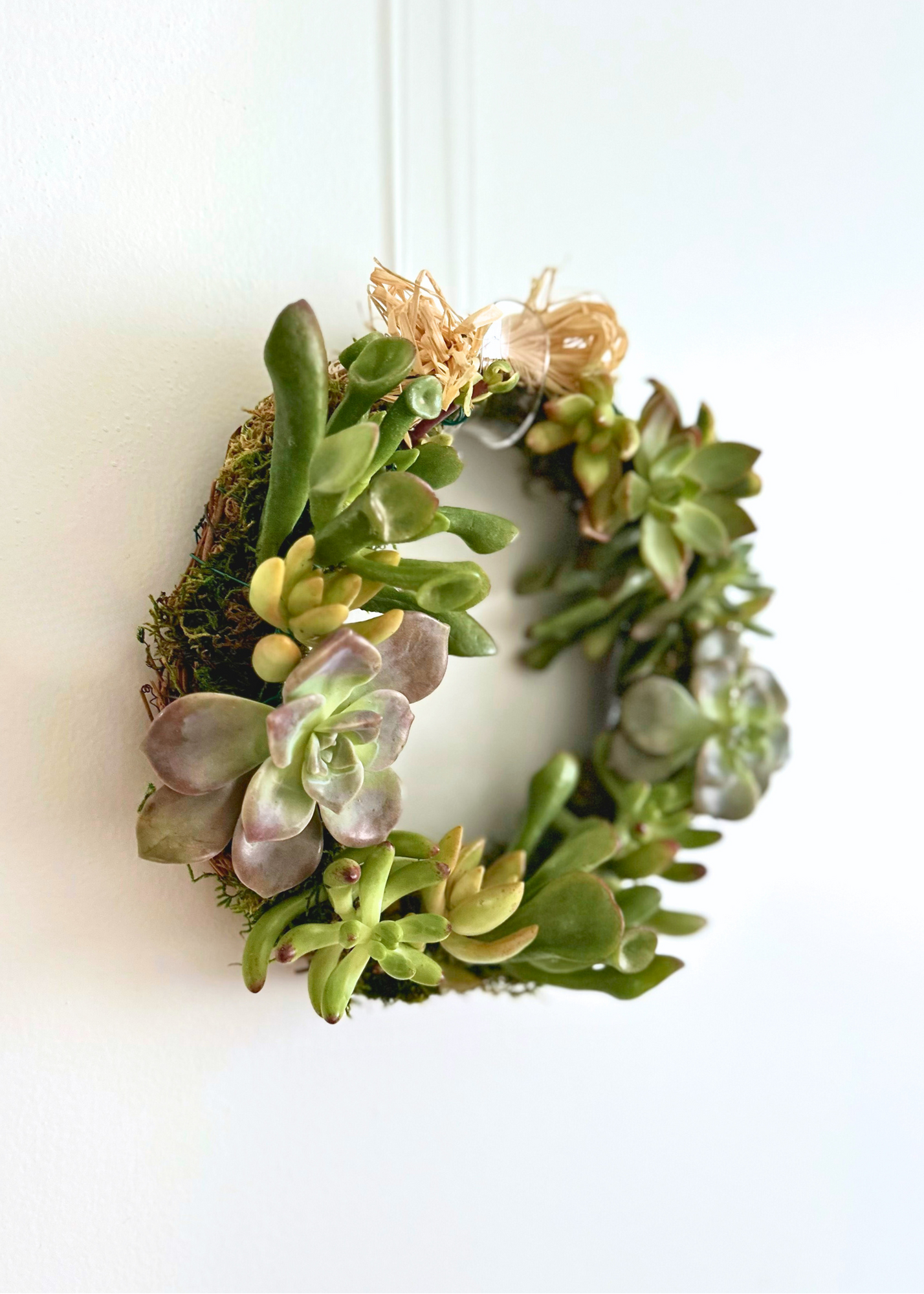 Succulent Wreath Workshop | Handcraft Living Wreaths in Hawai‘i