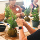 🎄Kokedama Christmas Tree Workshop in Hawai‘i🎄