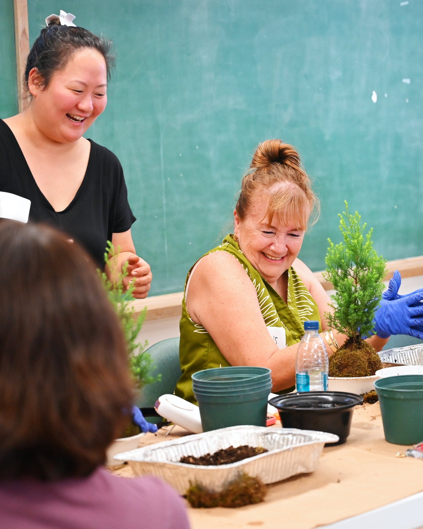 🎄Kokedama Christmas Tree Workshop in Hawai‘i🎄