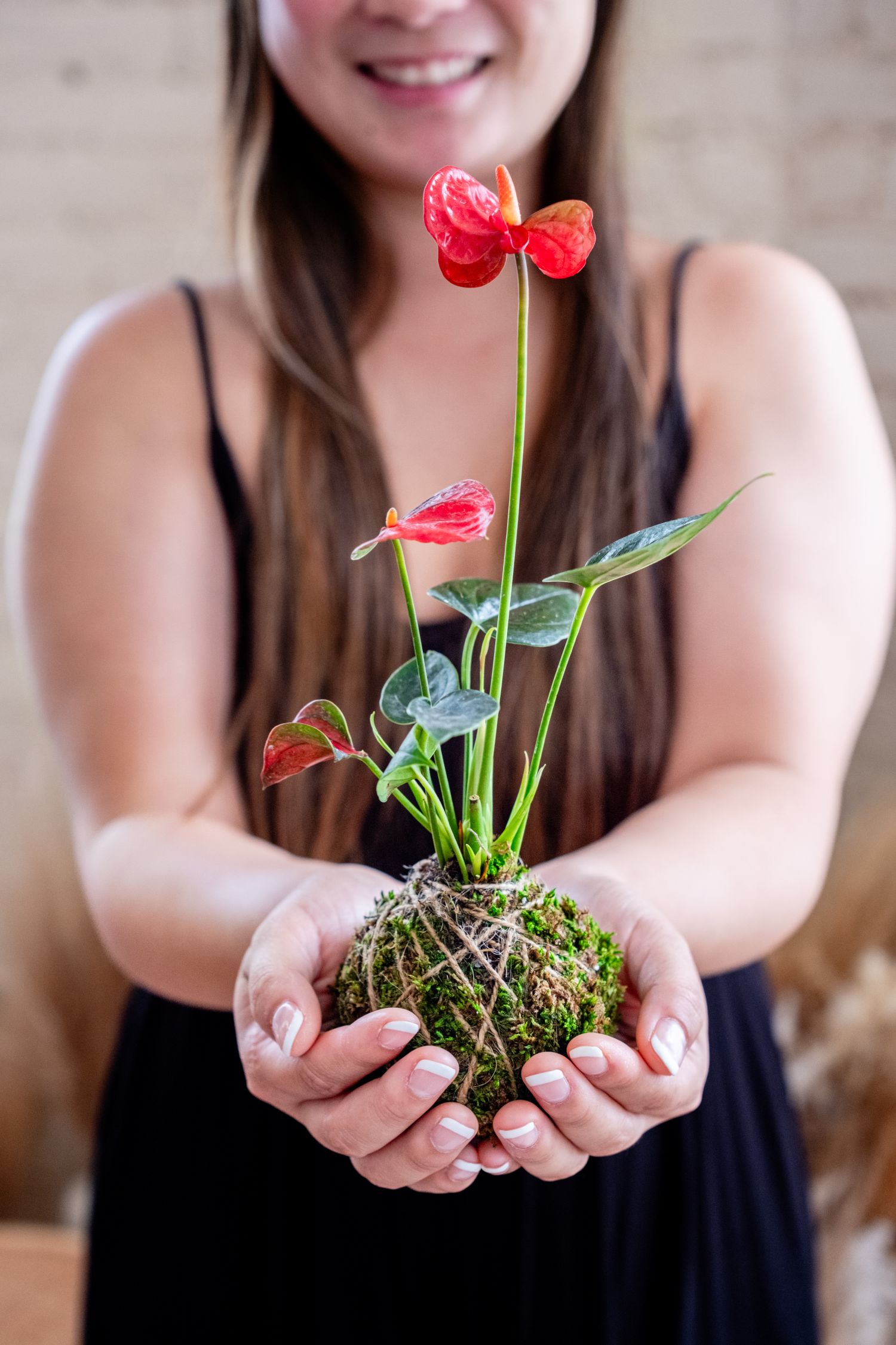 kokedama anthurium Discover The Art of Kokedama: Japanese 'Moss Ball' Workshop Sunday June 7th - 11 AM