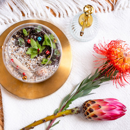 Succulent Terrarium Workshop: A Therapeutic and Creative Experience