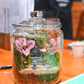 Decorative jar with plants and a small landscape on a table