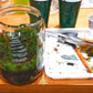 Glass jar with greenery on a wooden table with gardening tools and cups in the background.