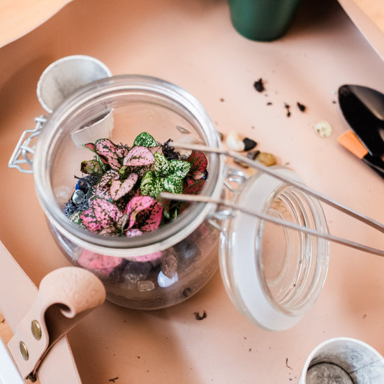 Jar of houseplants with tongs within a plant mat
