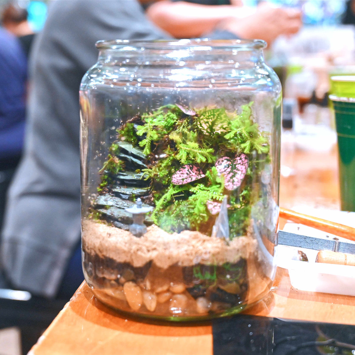 Living Moss & House Plant Terrarium Workshop 🪴✨