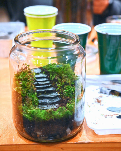Glass jar with a small plant on a wooden table