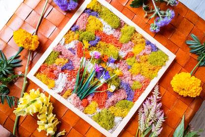 Preserved Moss Wall Art DIY Workshop