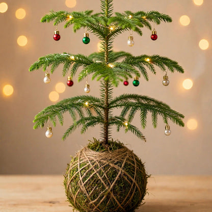 A small live Christmas tree with green needles, warm white string lights, red and green ornaments, and a moss-covered wrapped base, displayed on a wooden surface against a softly blurred beige background with bokeh lights.