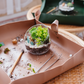 Houseplant Re-Potting Mat
