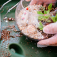 Houseplant Re-Potting Mat