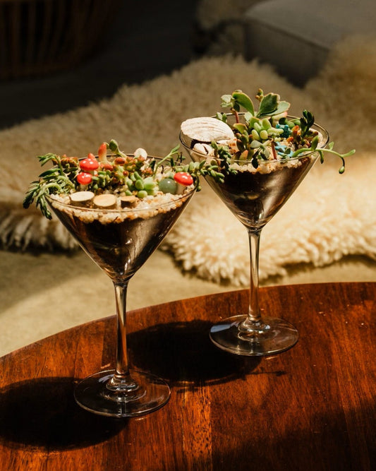 Succulent Martini Glass Workshop (Private Party)