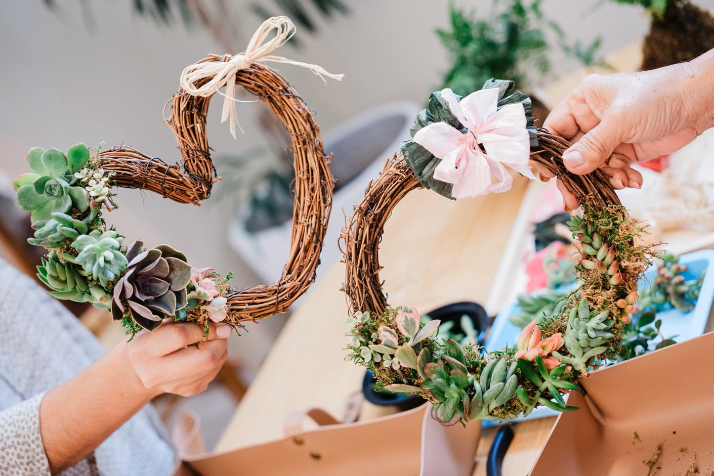 succulent christmas wreath Succulent Wreath Workshop