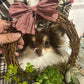 Succulent Wreath Workshop: A Hands-On Creative Experience