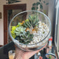 succulent,succulents,succulent terrarium,terrarium,terrariums,terarium,plant,plants,plant class,workshop,plant workshop