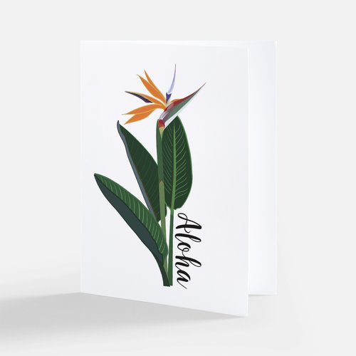 Aloha Bird of Paradise Greeting Card