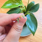 Hand holding a small decorative earring with a plant in the background