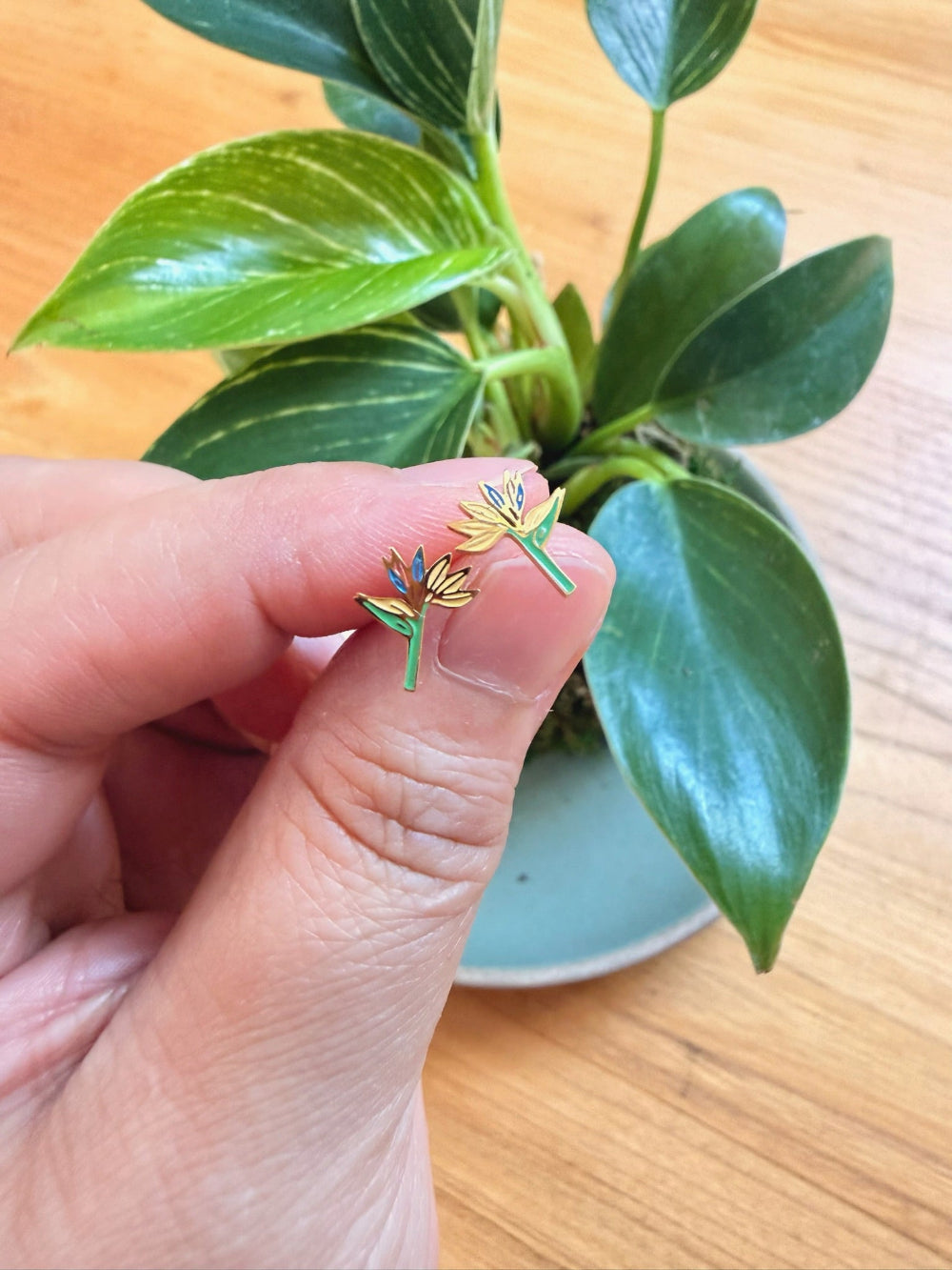 Hand holding a small decorative earring with a plant in the background