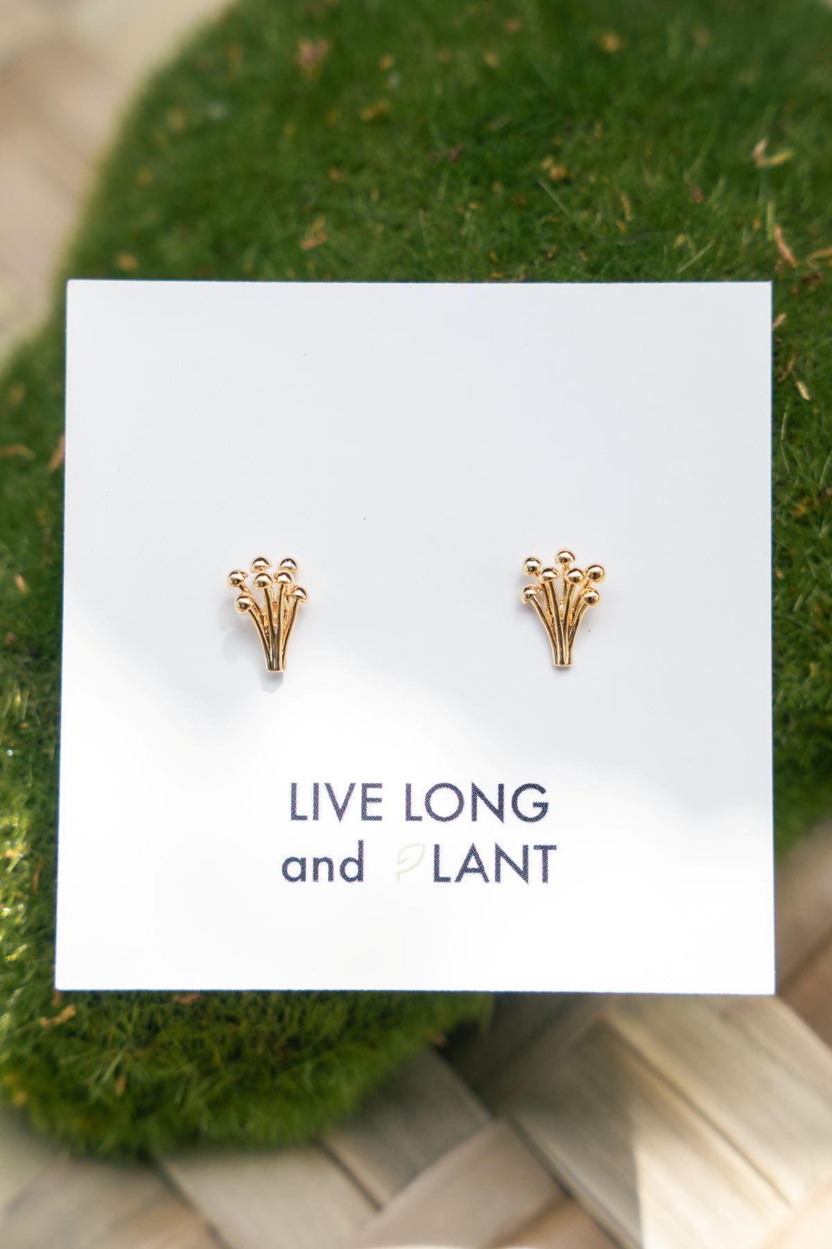 A pair of small gold stud earrings displayed on a white card that reads 'LIVE LONG and PLANT', set against a green mossy background.