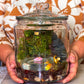 Living Moss with Resin Pond and Staircase Terrarium Workshop