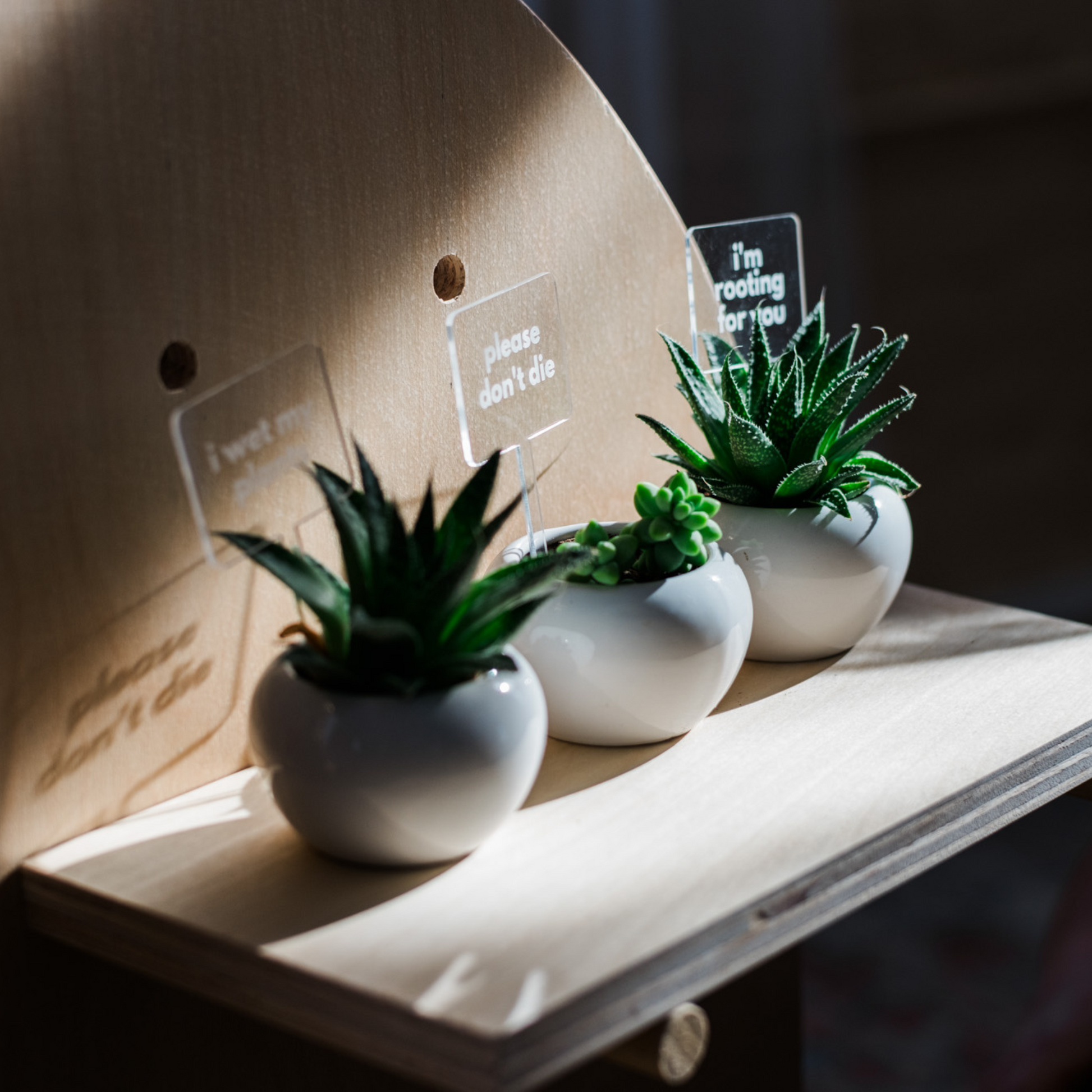 hanging wall box for succulents indoor hiro Macrame Hanger Succulent Gift Box – Live Long And Plant