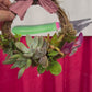 February Succulent Wreath Workshops