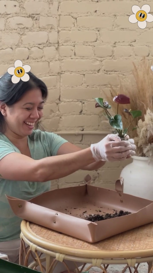 Discover the Art of Kokedama: Japanese 'Moss Ball' Workshop