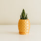 Cute Planter, Pineapple Planter, Pineapple Pot, Cute Pot, Pots for Plants, Pineapple Decor, Pineapple Plant, Pineapple Gifts, Pot, Pots