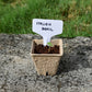 herb starter kit, herb kit, herb, herbs, parsley, cilantro, chives, oregano, basil, plant kit, plant gift