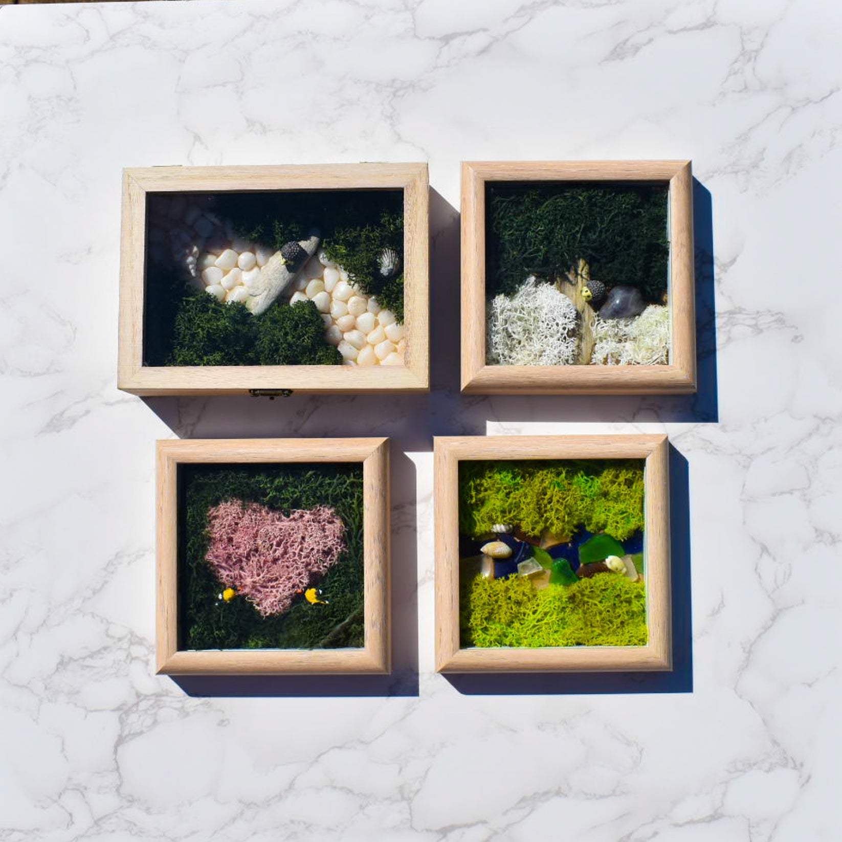 DIY Preserved Moss Wall Art Kit, Mossy Tree Live Long And Plant