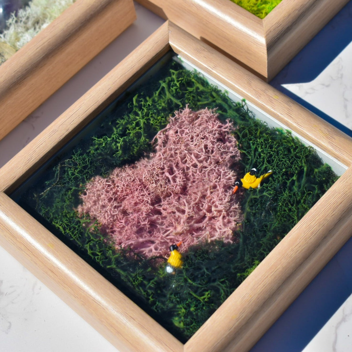 DIY Preserved Moss Wall Art Kit, Pink Heart
