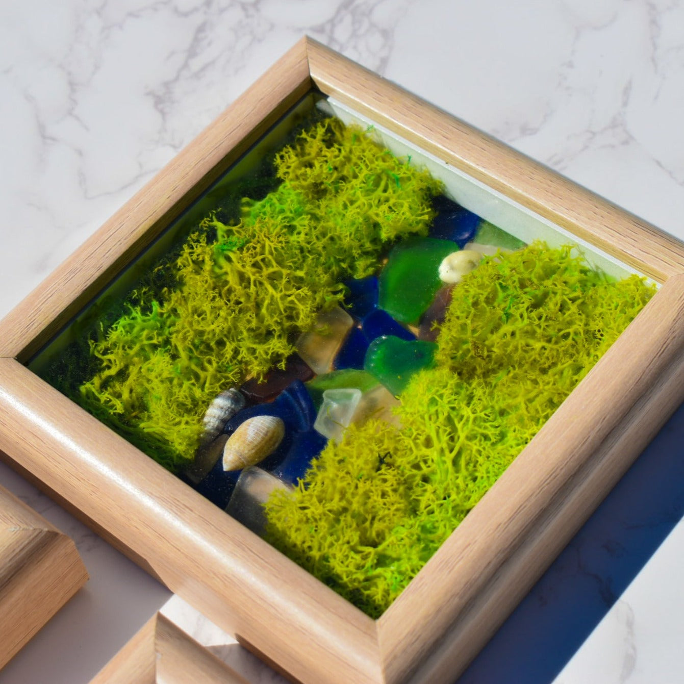 DIY Preserved Moss Wall Art Kit, Beach Glass – Live Long And Plant