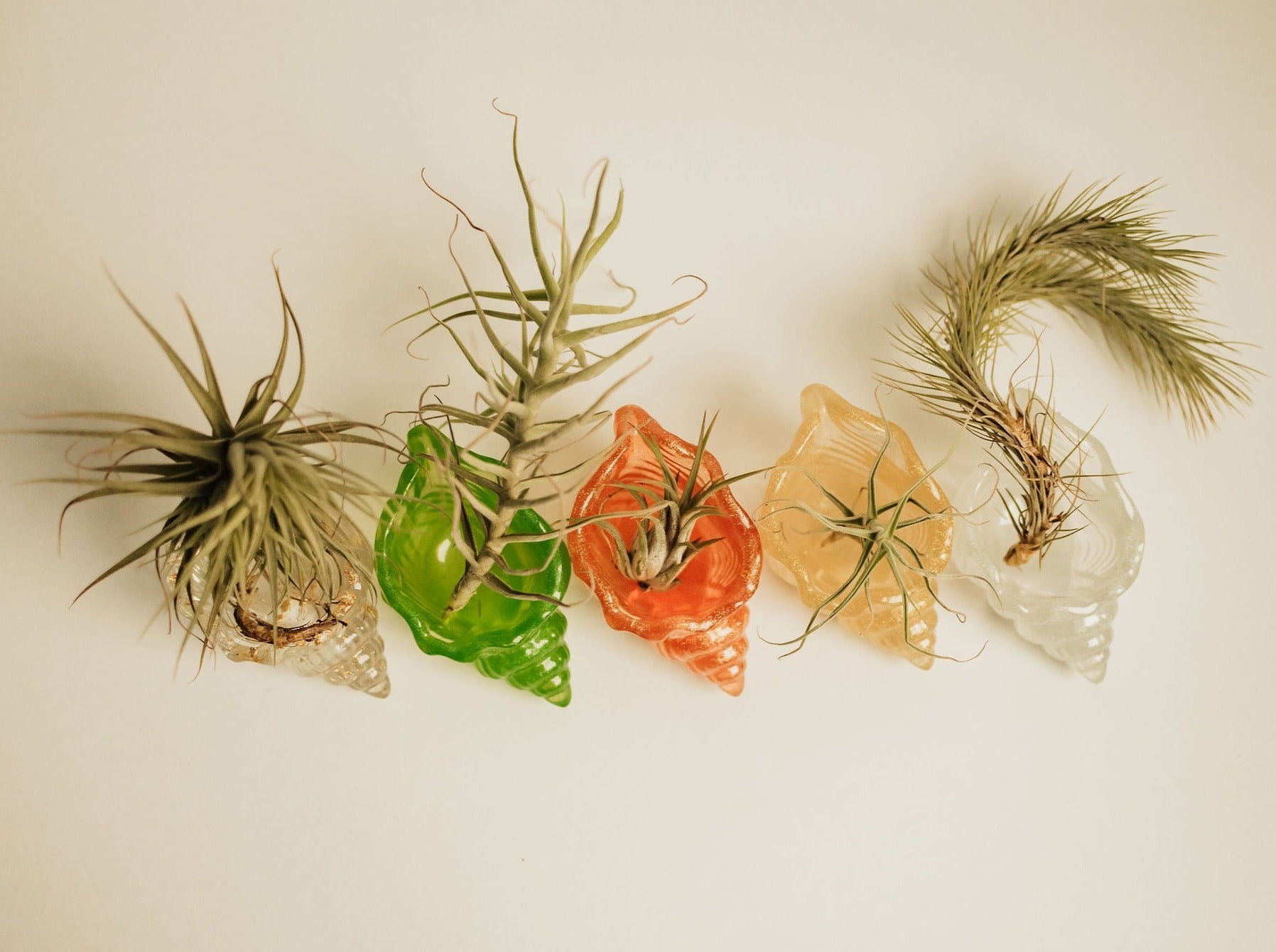 air plant gift delivery Air Plant and Candle Spa Gift Box Garden Party / Silver Moon