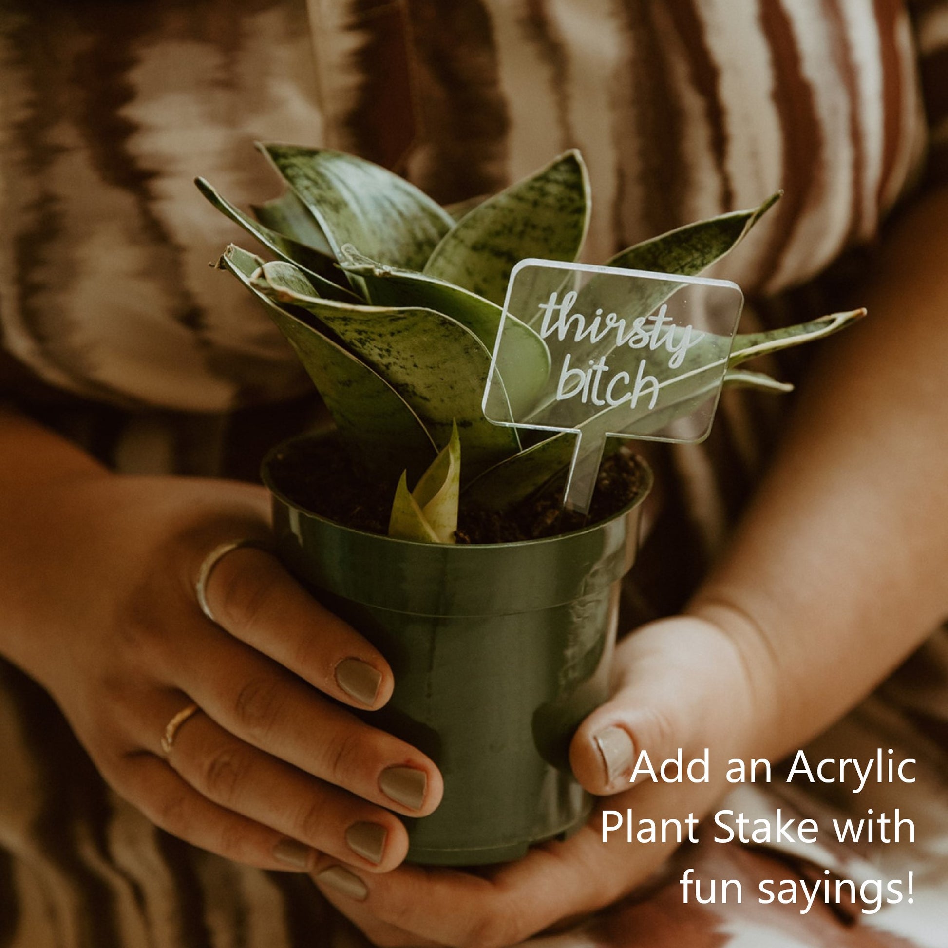 cute plant pot sayings Pineapple Planter – Live Long And Plant