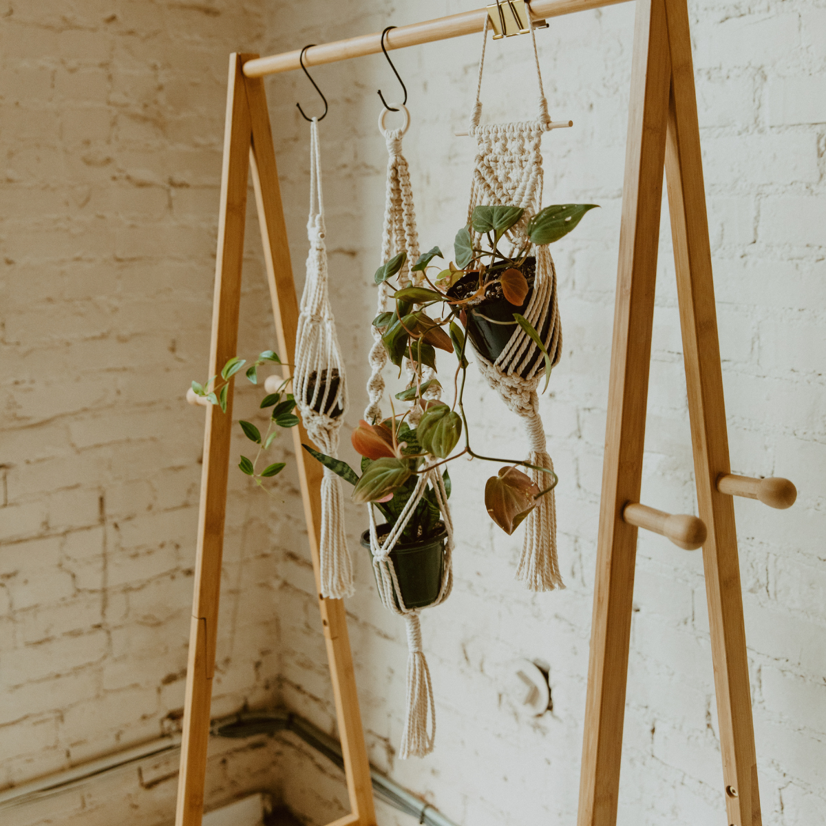 plant store, plant shop, plant parent, plant mom, plant hanger, plant gifts, plant gift, online plant shop, macrame plant hanger. live long and plant, macrame, macrame hanger, plant accessory, plant accessories, hanger for plant