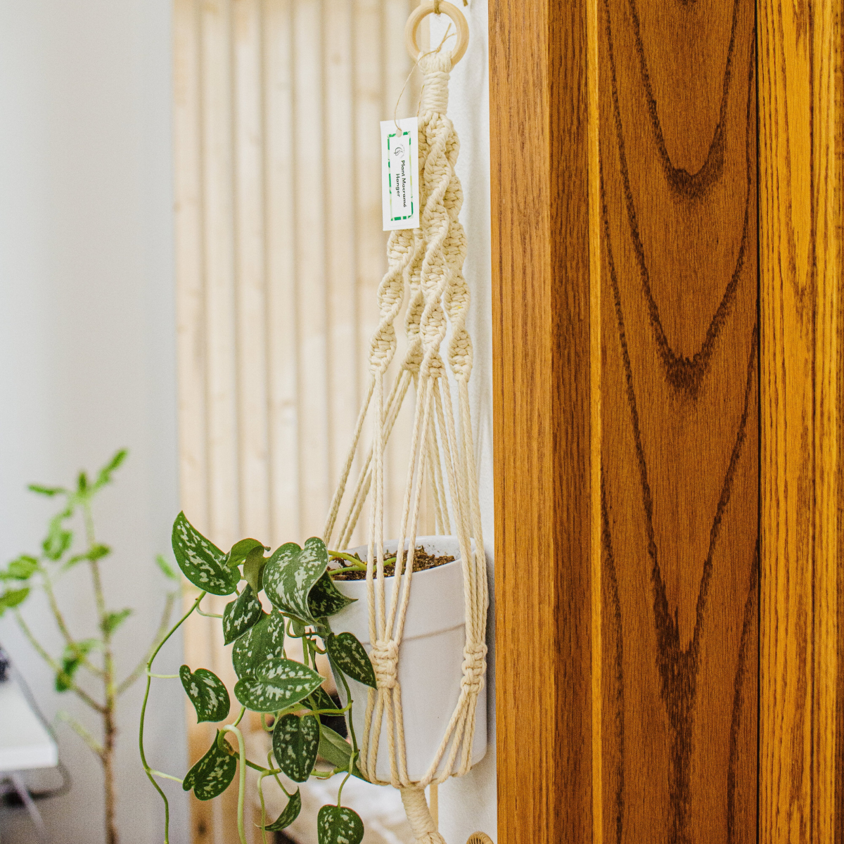 plant store, plant shop, plant parent, plant mom, plant hanger, plant gifts, plant gift, online plant shop, macrame plant hanger. live long and plant, macrame, macrame hanger, plant accessory, plant accessories, hanger for plant